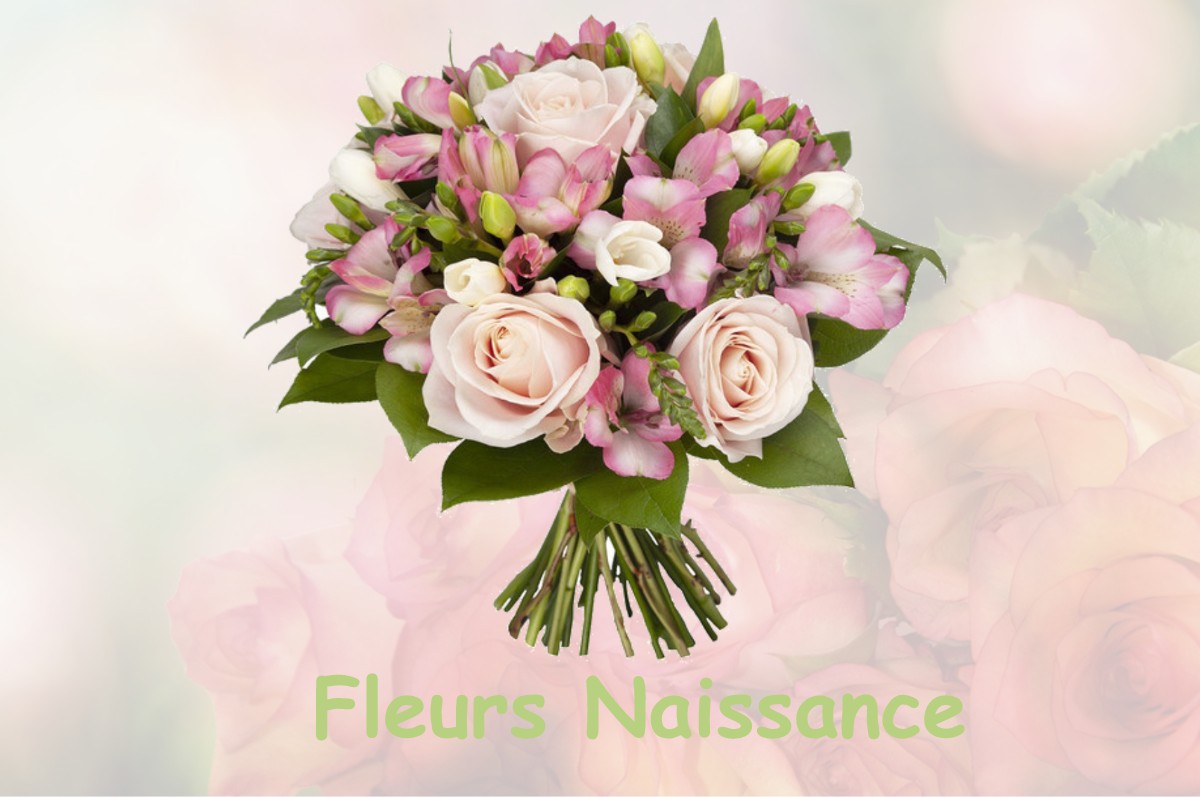 fleurs naissance LE-MESNIL-EURY